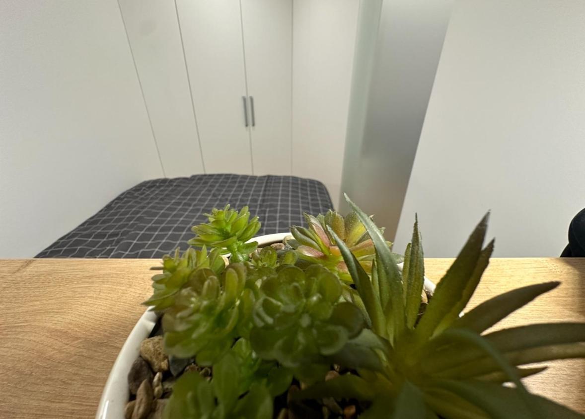 Apartma Tisa Bohinj-No Ouside Windows Ngoại thất bức ảnh