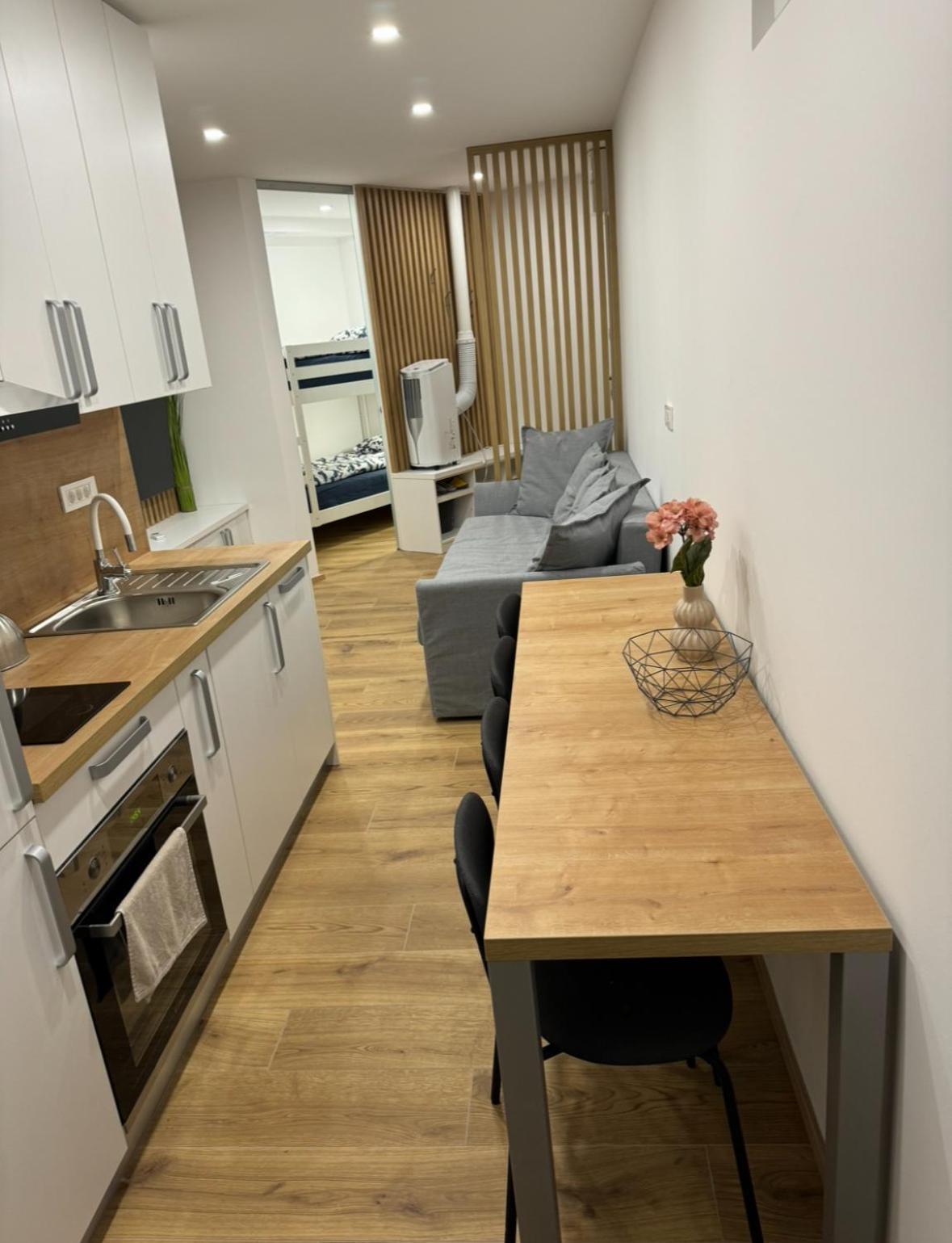 Apartma Tisa Bohinj-No Ouside Windows Ngoại thất bức ảnh